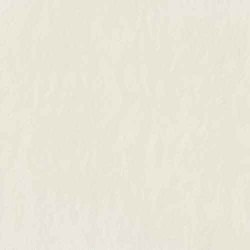 Ground White5